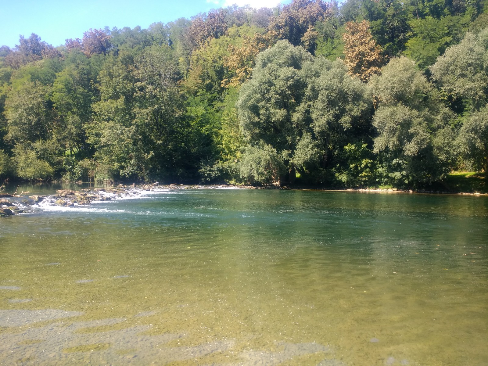 Nature 1